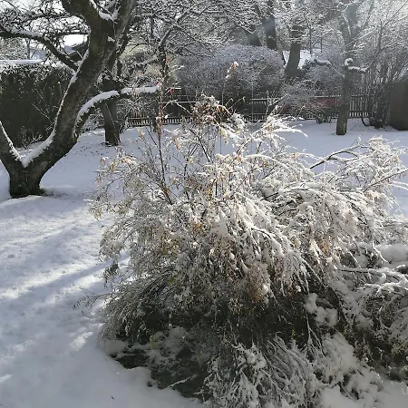 Erika 度假居 加爾米施-帕滕基興